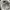 Von Dutch Streetwear Sportswear Hat Pria white photo 4