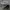 Von Dutch Streetwear Sportswear Hat Pria white photo 6