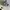 Von Dutch Streetwear Sportswear Hat Pria white photo 7