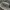 Von Dutch Streetwear Sportswear Hat Pria white photo 2