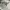 Von Dutch Streetwear Sportswear Hat Pria white photo 3