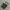 VANS OLD SKOOL BLACK WHITE photo 4