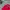 Sportswear Jersey Pria red photo 5