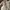 Luxury Avant Garde Pea coat Wanita pink cream photo 4