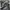 TIMBERLAND Icon 6" Black Boots Made in Bangladesh photo 5