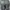 TIMBERLAND Icon 6" Black Boots Made in Bangladesh photo 7