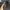 hp Google Pixel 7a All Operator inter photo 3