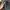 hp Google Pixel 7a All Operator inter photo 5