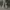 Vest TWO OCEAN PASS tactical photo 1