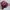 monchhichi girl brown neck pouch photo 2