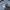 Delta Proweight - Stitch "Ohana Means Family" Animation Char photo 4