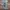 Delta Proweight - Stitch "Ohana Means Family" Animation Char photo 2