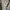 GAP Bomber Jacket Grey photo 2