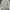 GAP Bomber Jacket Grey