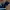 Luxury Avant Garde Jumpsuit Wanita navy photo 5