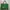 RALPH LAUREN canvas leather  tote bag photo 3