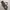 RALPH LAUREN canvas leather  tote bag photo 7