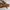 RALPH LAUREN canvas leather  tote bag photo 5