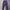 Celana Windbreaker Football ENGLAND Windrunner Purple Colour