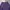 Celana Windbreaker Football ENGLAND Windrunner Purple Colour photo 4