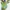ZARA Luxury Avant Garde Blouse Wanita multicolor green photo 2