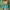 ZARA Luxury Avant Garde Blouse Wanita multicolor green photo 4