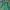 ZARA Luxury Avant Garde Blouse Wanita multicolor green photo 3