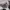 Juventus 2000/2001 UCL Home Kit Classic Retro Vintage Jersey photo 4