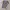 Juventus 2000/2001 UCL Home Kit Classic Retro Vintage Jersey photo 1