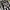 Juventus 2000/2001 UCL Home Kit Classic Retro Vintage Jersey photo 7