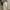 White cargo jeans photo 7