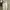 White cargo jeans photo 6