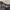 Adidas treefoil big logo smoke grey photo 4