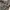 Adidas treefoil big logo smoke grey photo 5