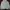 Hoodie Compagno studio photo 1