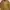 EDWIN Vintage Coquette Pea coat Pria tan brown photo 2