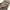 Lee Vintage Casual Casual pants Pria brown photo 6