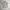 Louis Chavlon Vintage Casual shirt Pria white pink photo 2
