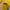 sweater (kuning)  photo 5