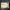 Feelworld 4K12X 4K UHD PTZ Webcam (NEW)