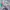 BARENBLISS, FOCALLURE, EMINA, PINKFLASH photo 1