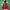 Tracktop Adidas Liverpool 2008 photo 5