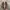 VANS Streetwear Skater Sneakers Wanita white black photo 5