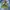 Vtg Universal Studios “Shrek” photo 5