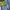 Vtg Universal Studios “Shrek” photo 4