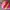 Boneka ice cream pink photo 2