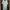 SHEIN Long Outer Oversize