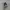 Nike Air Jordan 1 Low Panda photo 1