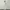 PAFON KLO TOP & GAURI PANTS - BROKEN WHITE photo 6
