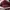 COACH Tatum Carryall in Signature Canvas (Pink) photo 5
